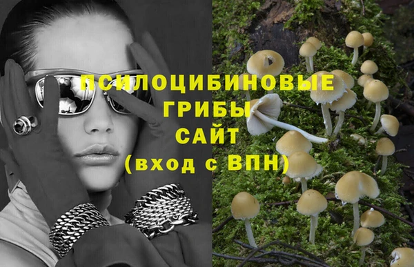соль курить ск Алексин